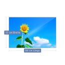Herdabdeckplatte Ceran 80x52 Sonneblume Gelb Abdeckung Glas Spritzschutz Deko