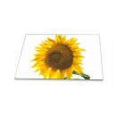 Herdabdeckplatte Ceran 80x52 Sonnenblume Gelb Abdeckung Glas Spritzschutz Deko