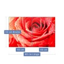 Herdabdeckplatte Ceran 2-Teilig 2x40x52 Rose Rot...