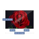Herdabdeckplatte Ceran 2-Teilig 2x40x52 Rose Rot Abdeckung Spritzschutz Glas