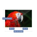 Herdabdeckplatte Ceran 2-Teilig 2x40x52 Vogel Rot Abdeckung Spritzschutz Glas