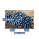 Herdabdeckplatte Ceran 2-Teilig 2x40x52 Obst Blau Abdeckung Spritzschutz Glas