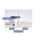 Herdabdeckplatte Ceran 2-Teilig 2x40x52 Obst Blau Abdeckung Spritzschutz Glas