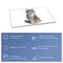 Herdabdeckplatte Ceran 2-Teilig 2x40x52 Katze Grau Abdeckung Spritzschutz Glas
