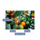 Herdabdeckplatte Ceran 2-Teilig 2x40x52 Gemüse Grün Abdeckung Spritzschutz Glas