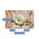 Herdabdeckplatte Ceran 2-Teilig 2x40x52 Blumen Weiß...