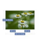 Herdabdeckplatte Ceran 2-Teilig 2x40x52 Blumen Grün Abdeckung Spritzschutz Glas