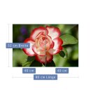 Herdabdeckplatte Ceran 2-Teilig 2x40x52 Blumen Bunt...
