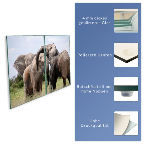 Glas-Herdabdeckplatte Ceranfeldabdeckung 2x40x52 Zweiteilig Elefant 
