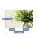 Herdabdeckplatte Ceran 2-Teilig 2x40x52 Pflanzen Grün Abdeckung Spritzschutz