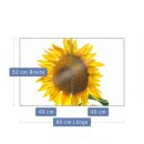 Herdabdeckplatte Ceran 2-Teilig 2x40x52 Sonnenblume Gelb...