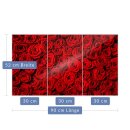 Herdabdeckplatte Ceran 3-teilig 90x52 Rot Blumen...