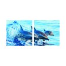 Delfine 50x50cm 2 Glasbilder Glasbild Echtglas Wandbild Deko
