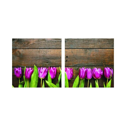 Tulpen 50x50cm 2 Glasbilder Glasbild Echtglas Wandbild Deko