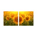 Sonnenblume 50x50cm 2 Glasbilder Glasbild Echtglas Wandbild Deko