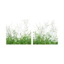 Pflanze 50x50cm 2 Glasbilder Glasbild Echtglas Wandbild Deko