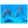 Delfine 70x50cm Glasbilder Glasbild Echtglas Wandbild Deko