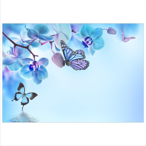 Schmetterling 70x50cm Glasbilder Glasbild Echtglas Wandbild Deko