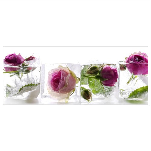 Rose Echtglas Glasbilder Glasbild Echtglas Wandbild Deko 80x30