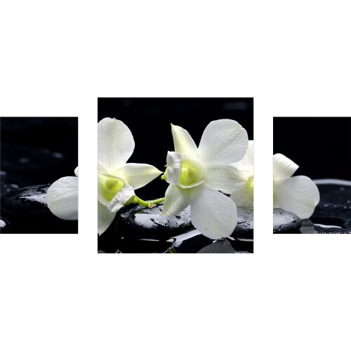 Acrylglasbilder Wandbild aus Plexiglas® Bild Orchidee Steine 