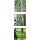 Wandbilder Glas 3 Teilig Acryl Bild Acrylglasbilder Wanddeko Baum Grün 30x90 cm
