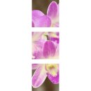 Wandbilder Glas 3 Teilig Acryl Bild Acrylglasbilder Orchidee Violett 30x90 cm