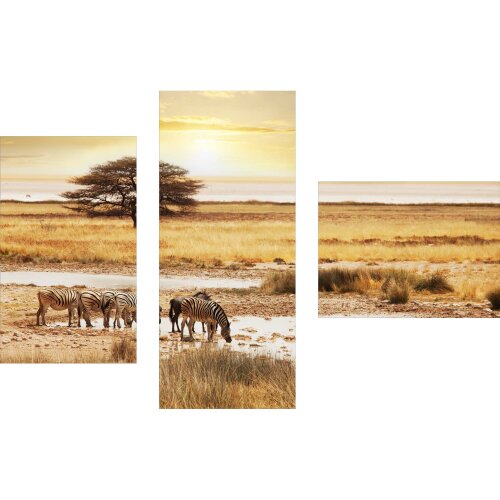 Dreiteiliges Wandbild 3 Teilig Glas Bild Glasbilder Deko Afrika Tiere 100x70 cm